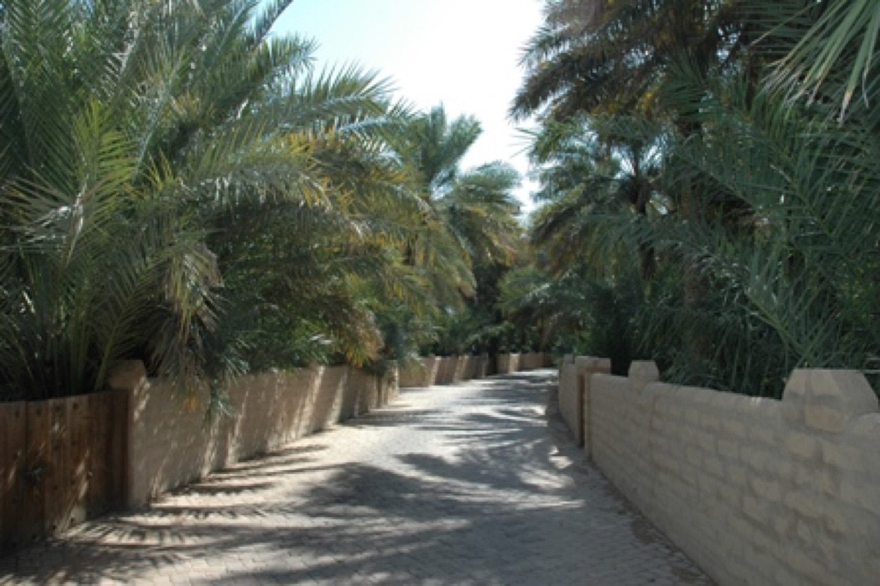 Al Ain Oasis on the Al Ain oasis and Jebel Hafeet driving route