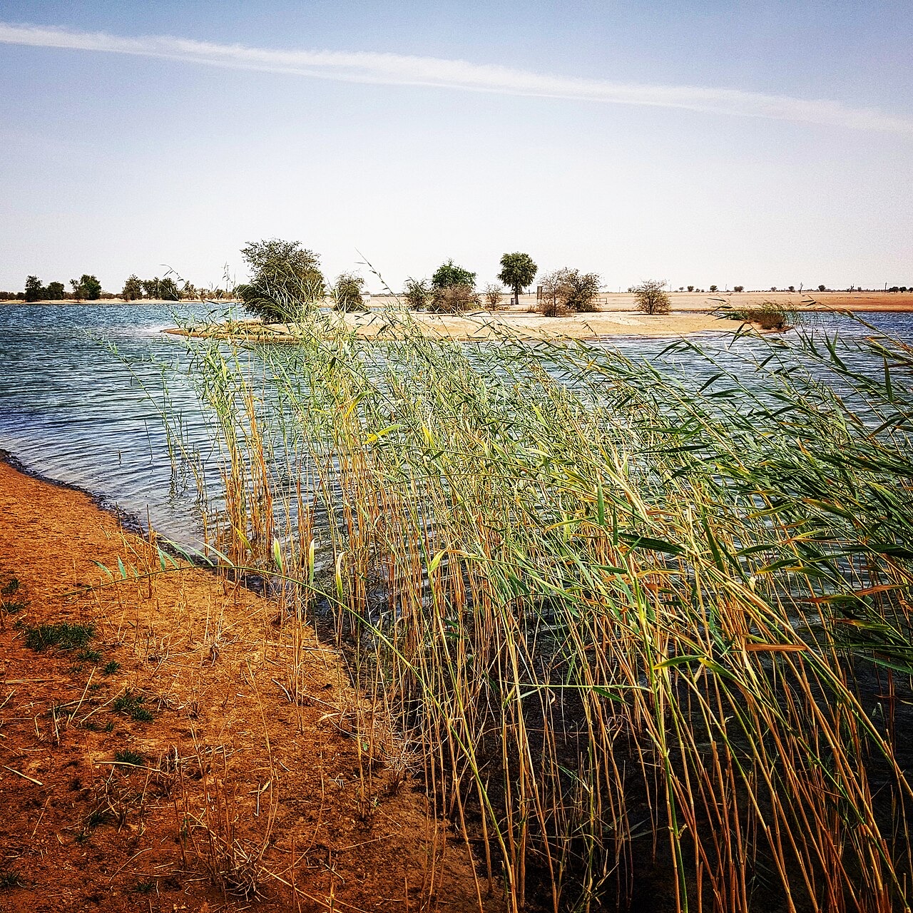 Al Qudra Lakes on the Dubai to Hatta driving route