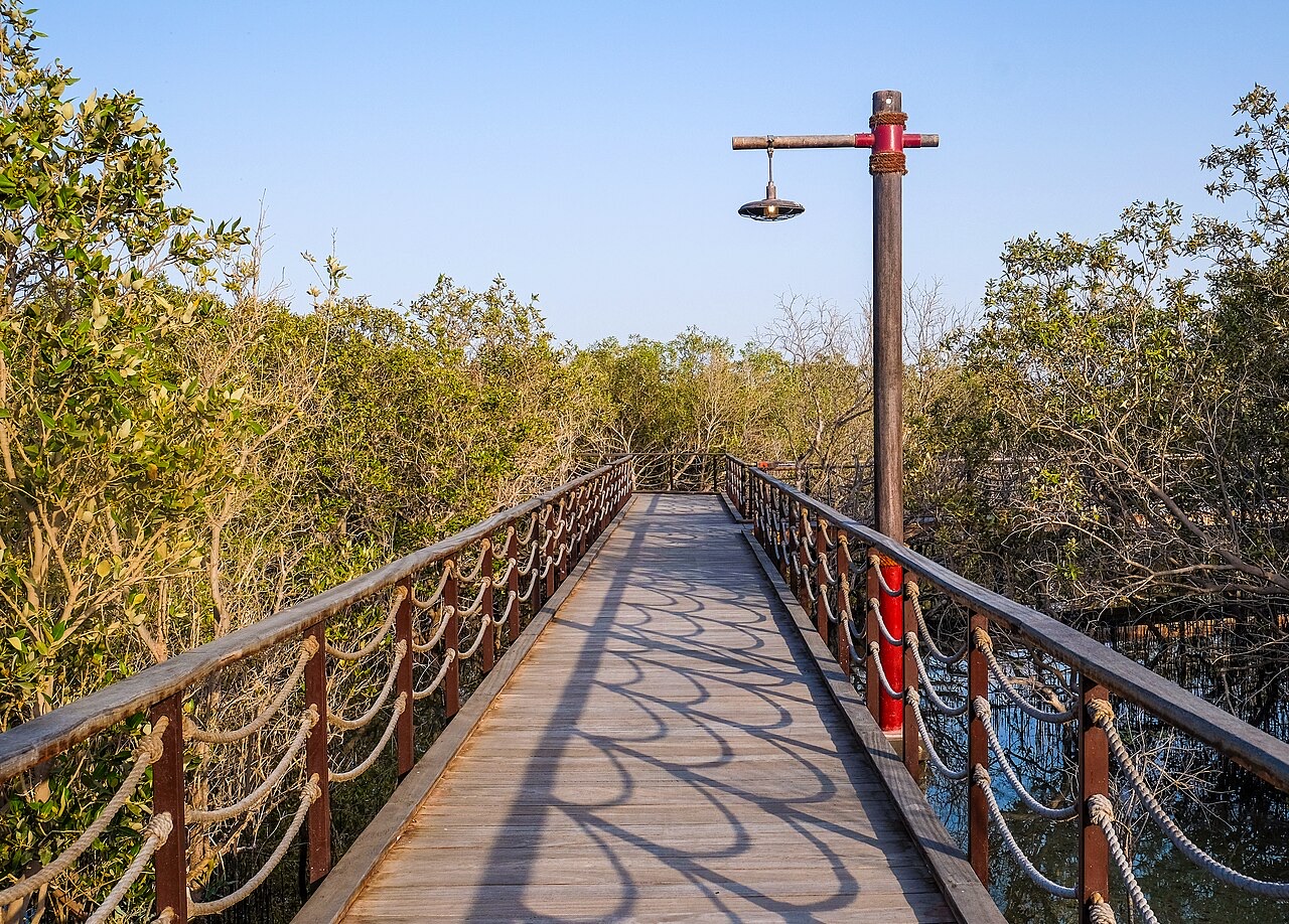 Jubail Mangrove Park on the Abu Dhabi culture and coast driving route