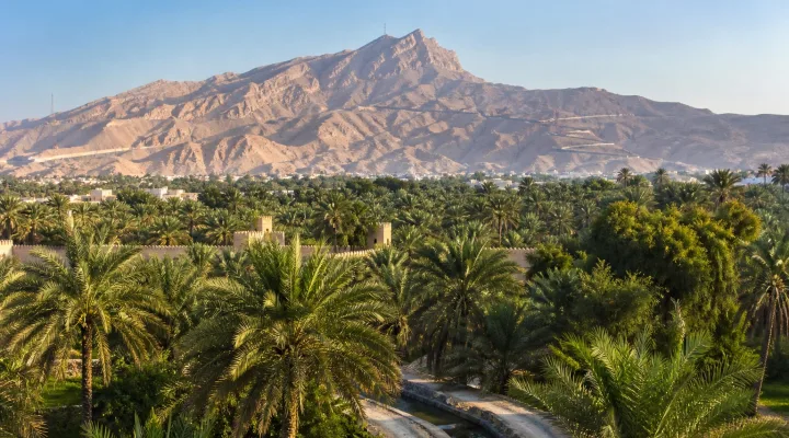 Car rental in Al Ain